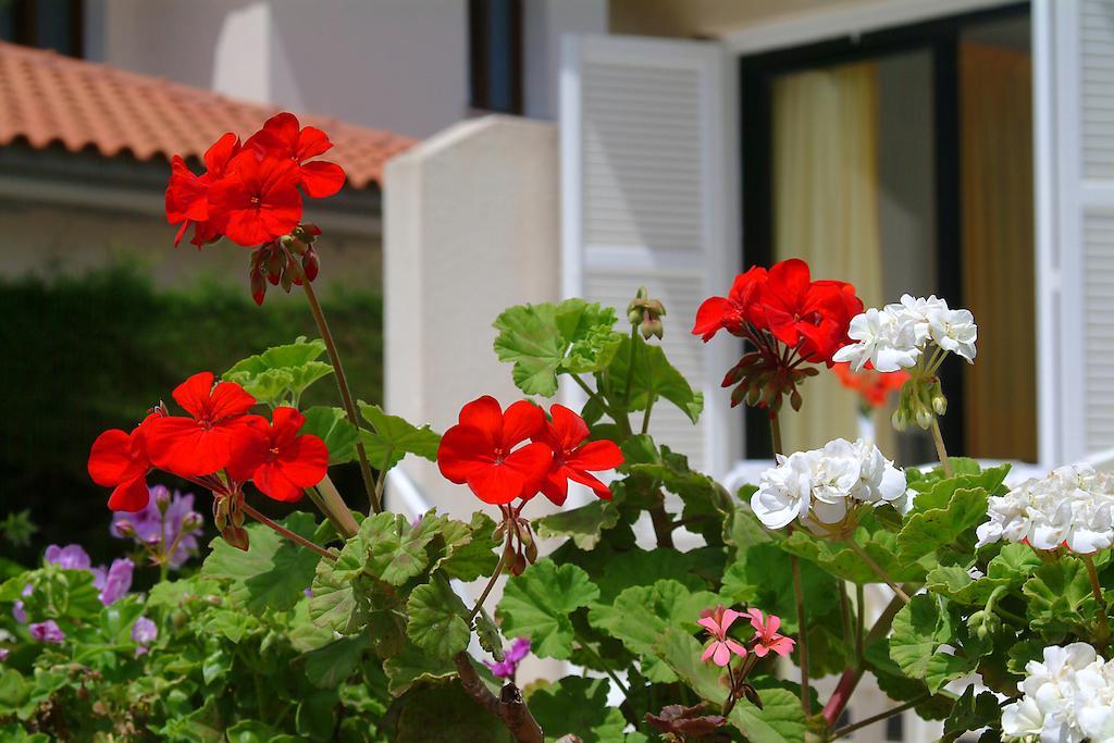 Sunbay Apartments Pyla Ngoại thất bức ảnh